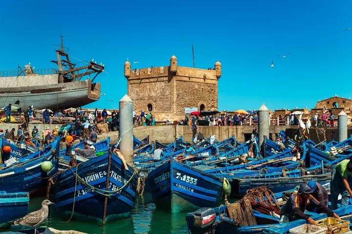 Blue boats crowding Essaouira's fishing port