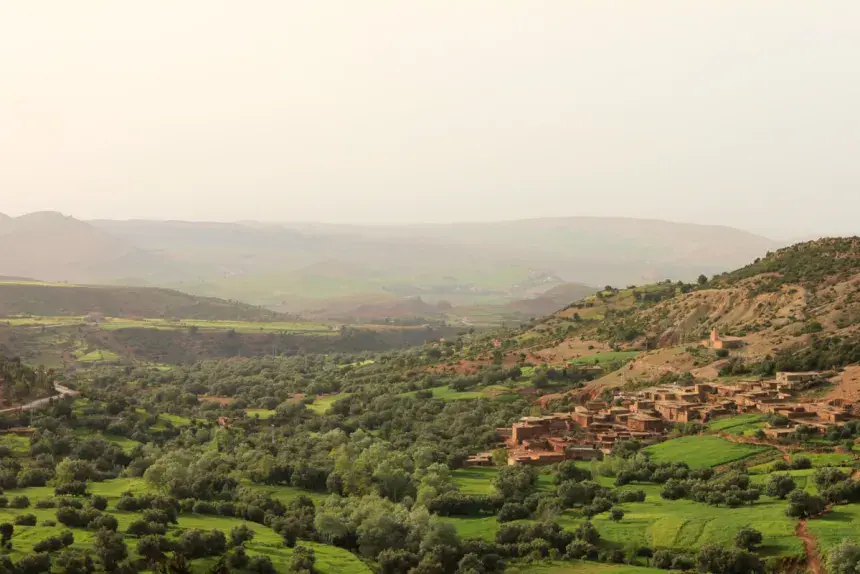 Green hills in morning haze