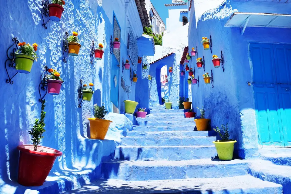 Blue-washed steps lined with flower pots in Chefchaouen
