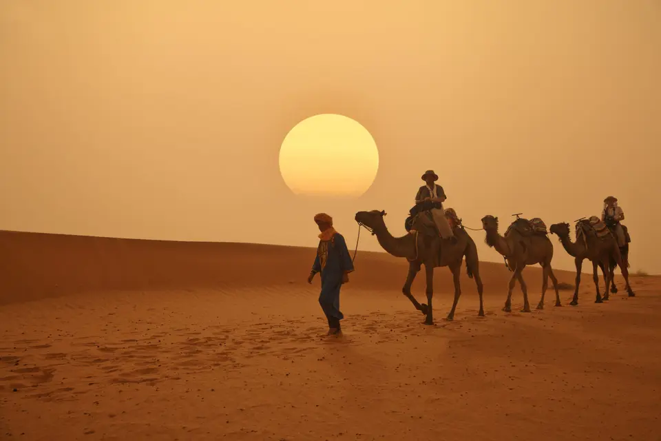 A camel caravan against the setting sun in the Sahara