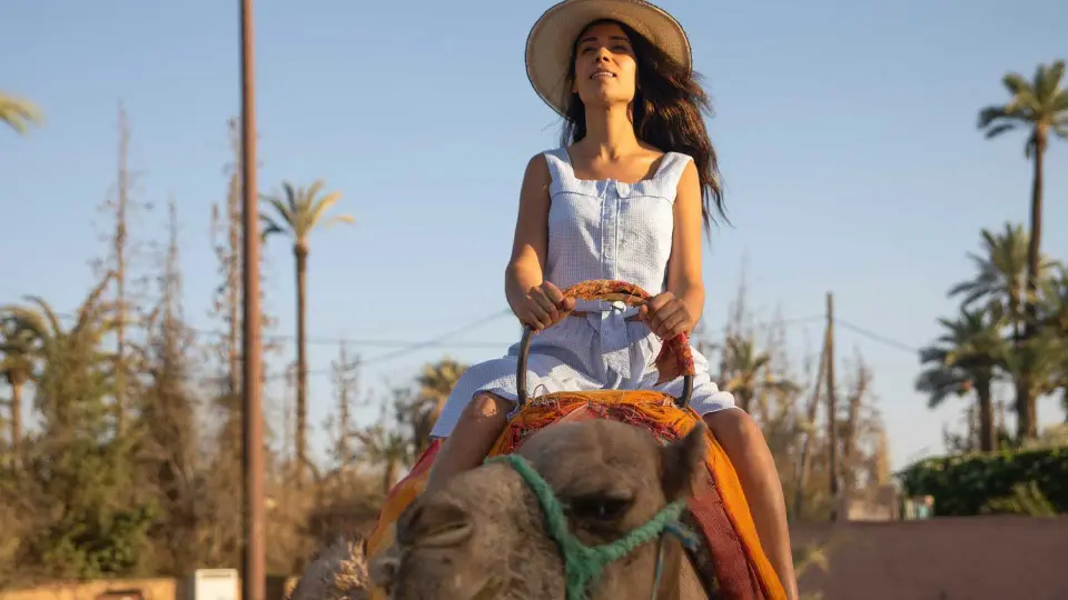 A guest on a camel in the Palmeraie, Marrakech