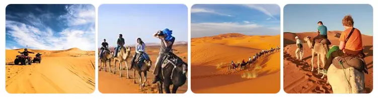Desert excursions: quad bikes, camels and dunes