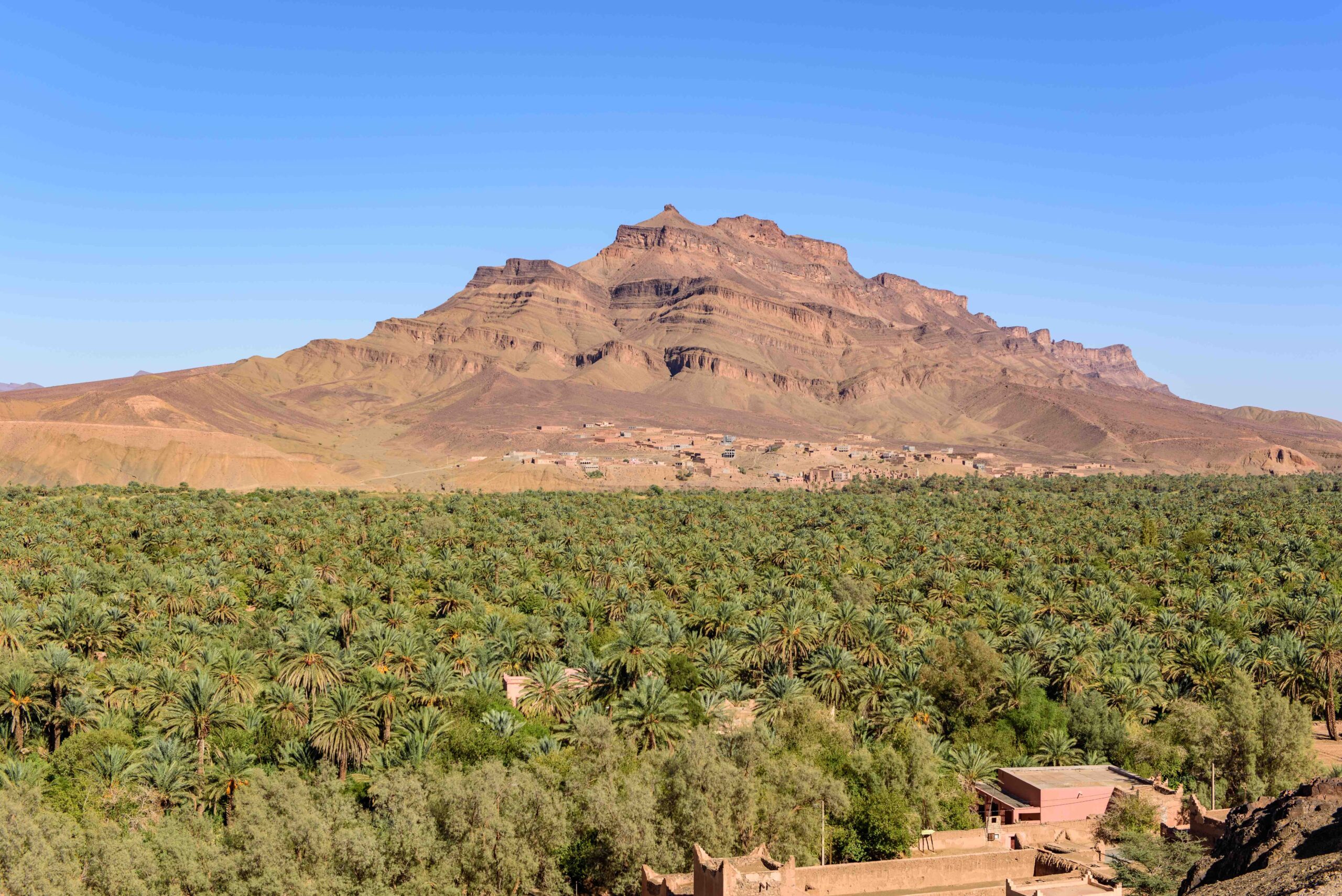 MARRAKECH DRAA VALLEY AND ERG CHIGAGA 8 DAYS