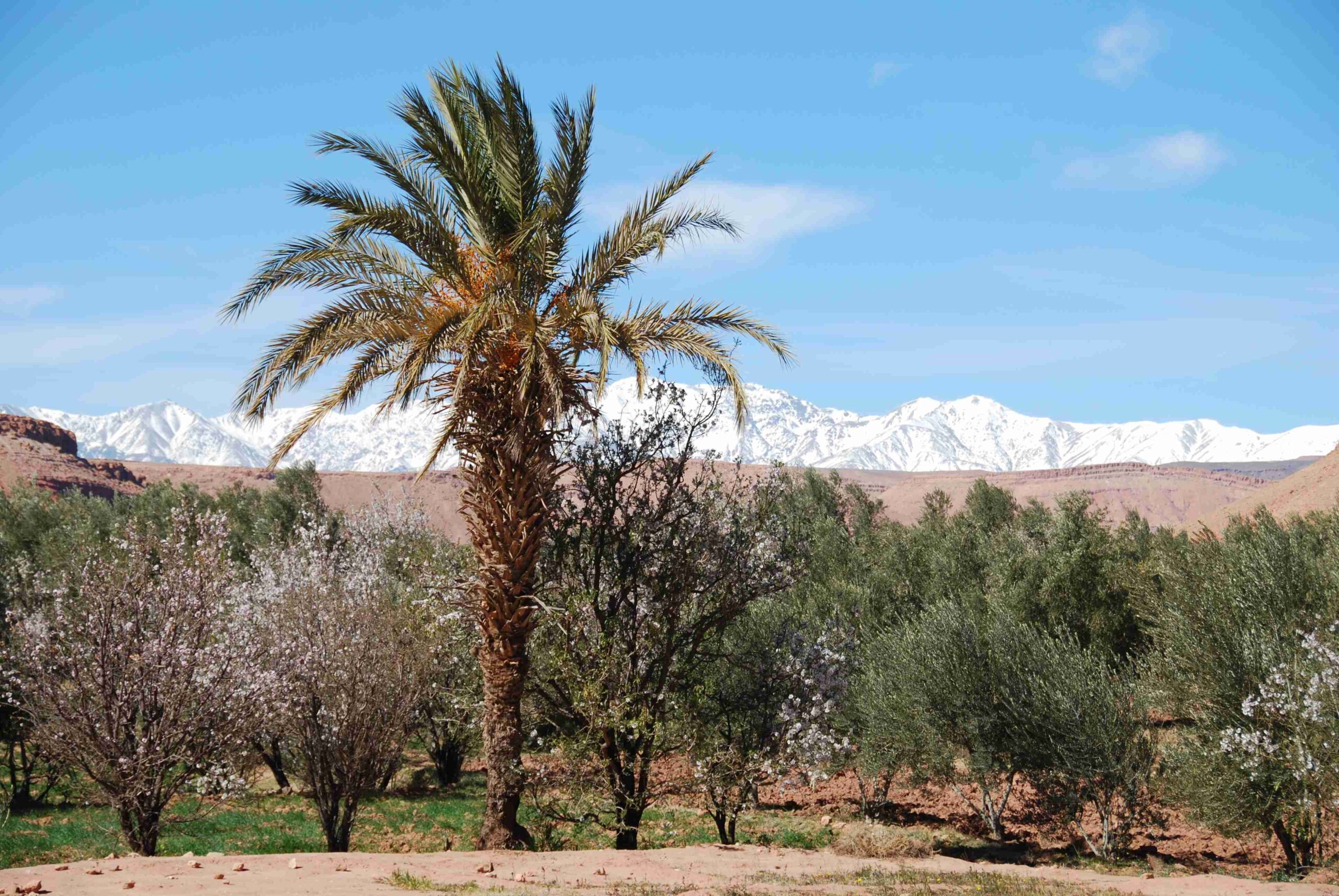 Exotic Morocco Tour 11 Days & 10 Nights